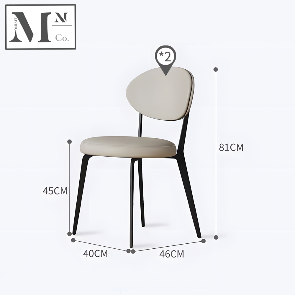 ALIZ Modern Indoor Dining Chair