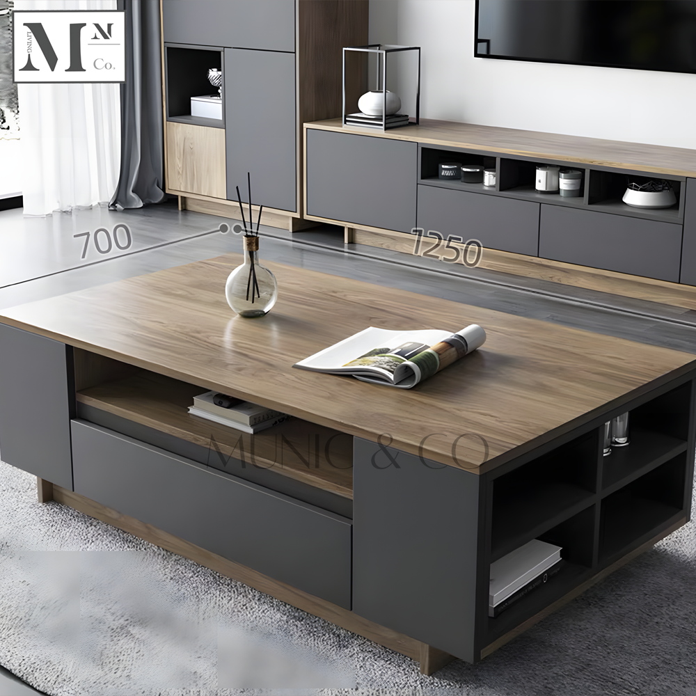 ZANE Contemporary Industrial TV Console and Coffee Table