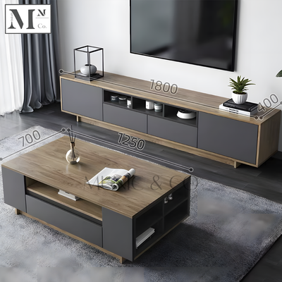 ZANE Contemporary Industrial TV Console and Coffee Table