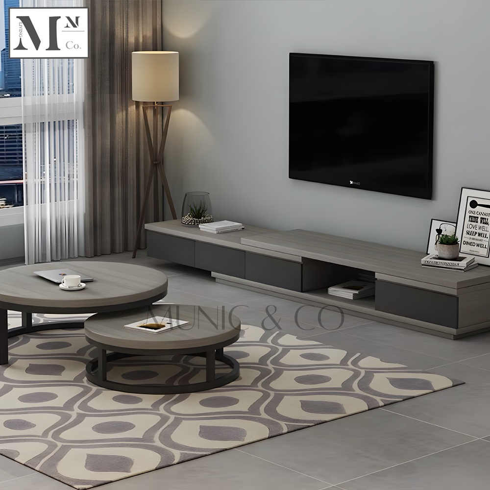 ZAYDEN Contemporary Ash Grey TV Console and Coffee Table