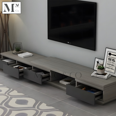 ZAYDEN Contemporary Ash Grey TV Console and Coffee Table