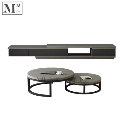 ZAYDEN Contemporary Ash Grey TV Console and Coffee Table