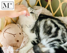 Load image into Gallery viewer, pawspals all natural rattan bed for dogs and cats.  pets rattan bed
